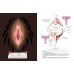 My Dear Vagina: Интимный дневник 365 вульв