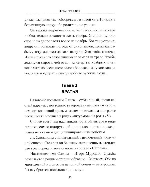 Штурмовик: роман