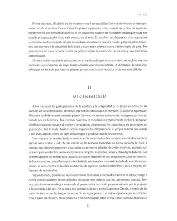 VELOX: fantasia hist6rica = ВЕЛОКС: историческое фэнтези (кн.на испан.яз.)