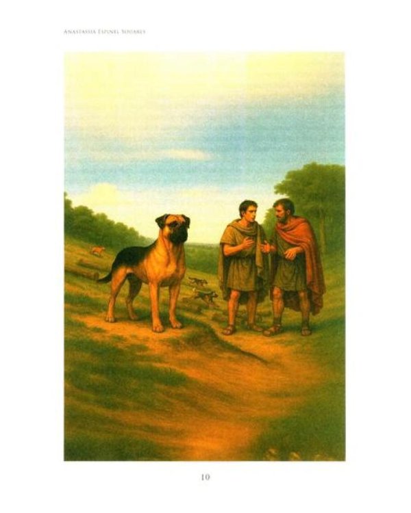 VELOX: fantasia hist6rica = ВЕЛОКС: историческое фэнтези (кн.на испан.яз.)