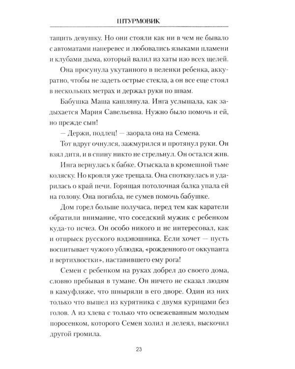 Штурмовик: роман