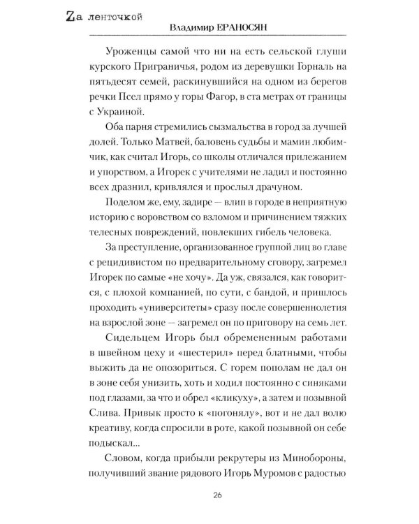 Штурмовик: роман