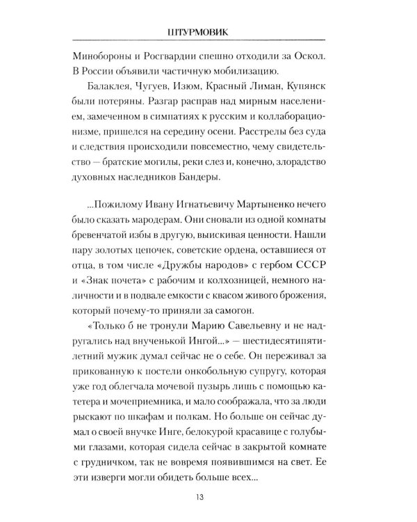 Штурмовик: роман