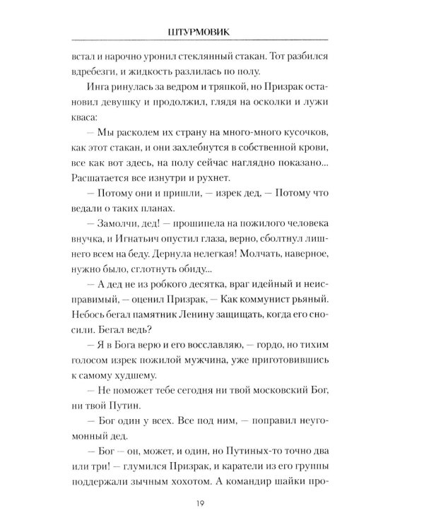 Штурмовик: роман