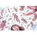 Охотники за кошмарами. Кн. 3. Досье 5: Леонар; Досье 6: Ариана: графический роман