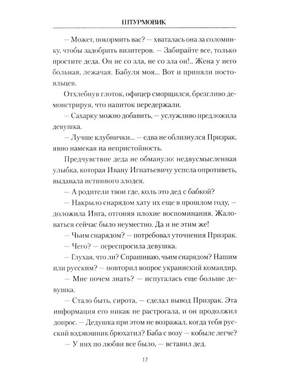 Штурмовик: роман