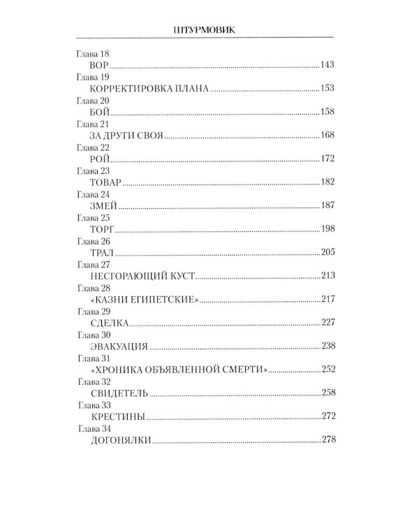 Штурмовик: роман