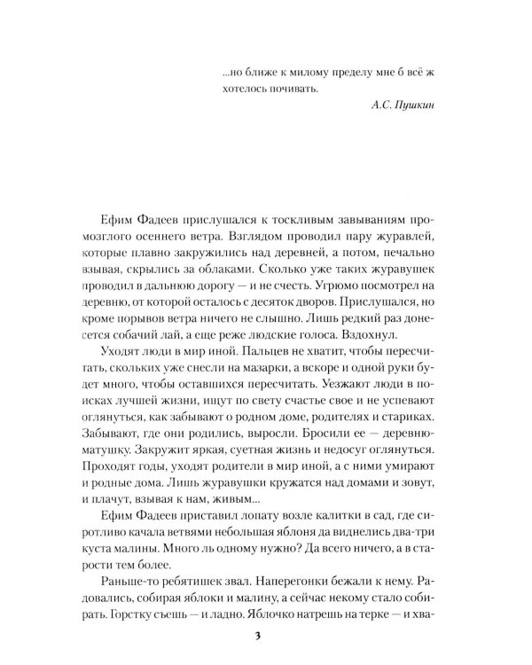 Дополнительное изображение книги «Журавушки: роман»