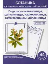 Ботаника. Систематика грибов, водорослей, растений. Подклассы магнолииды, ранункулиды, кариофиллиды, гамамелидиды, дилленииды. (КАРТОЧКИ 44 шт)