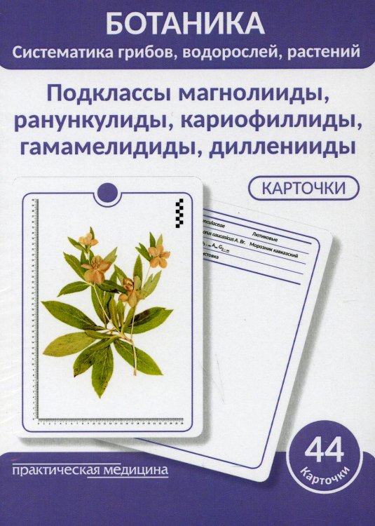 Ботаника. Систематика грибов, водорослей, растений. Подклассы магнолииды, ранункулиды, кариофиллиды, гамамелидиды, дилленииды. (КАРТОЧКИ 44 шт)