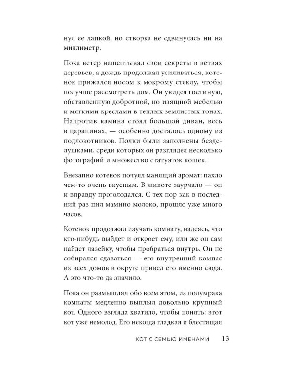 Кот с семью именами. Счастье приходит к тому, кто верит в чудеса