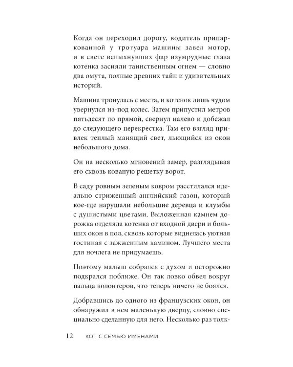 Кот с семью именами. Счастье приходит к тому, кто верит в чудеса