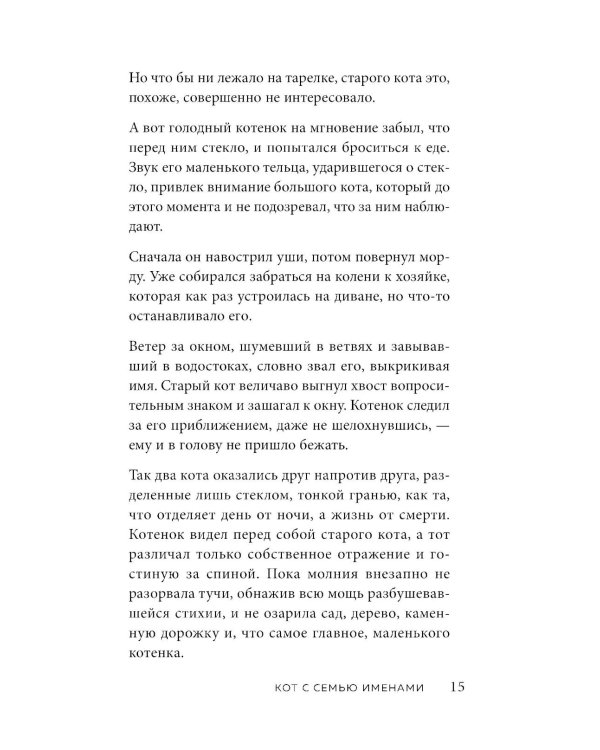 Кот с семью именами. Счастье приходит к тому, кто верит в чудеса