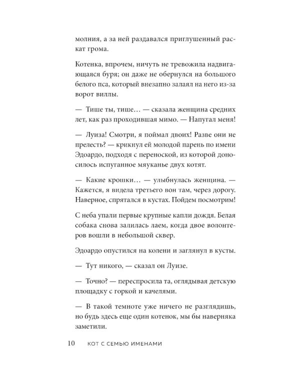 Кот с семью именами. Счастье приходит к тому, кто верит в чудеса