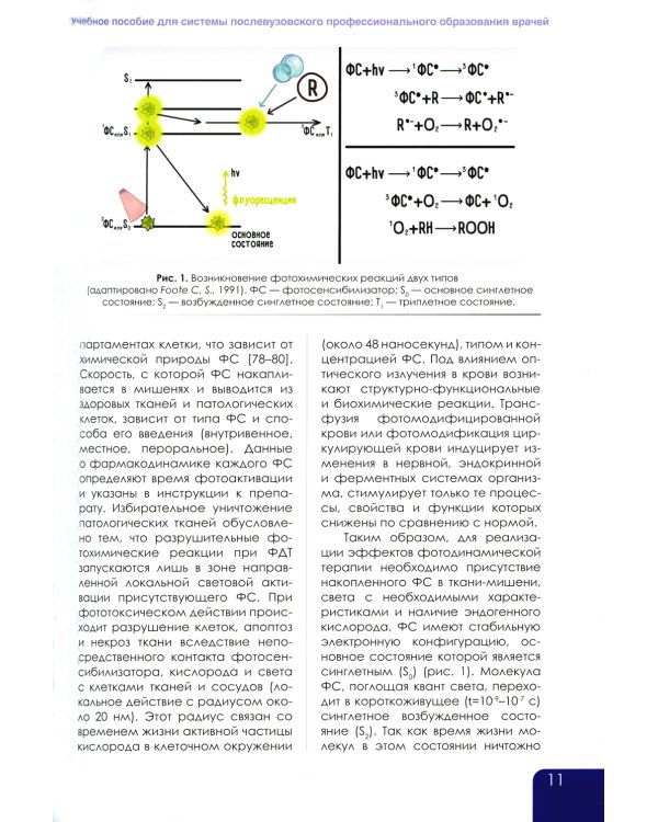 Фотодинамическая терапия: иммуномодулирующий метод в онкогинекологии: учебное пособие