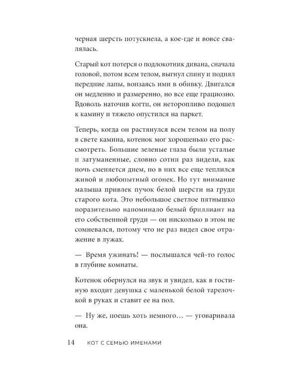 Кот с семью именами. Счастье приходит к тому, кто верит в чудеса