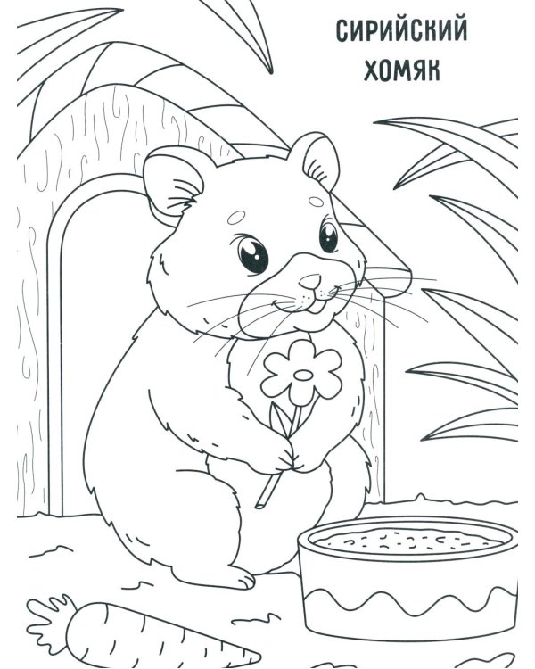 Грызунчики: книжка-раскраска