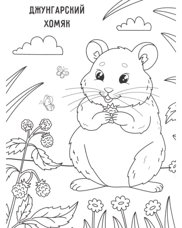 Грызунчики: книжка-раскраска