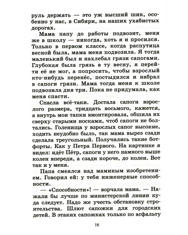 Мой генерал: роман