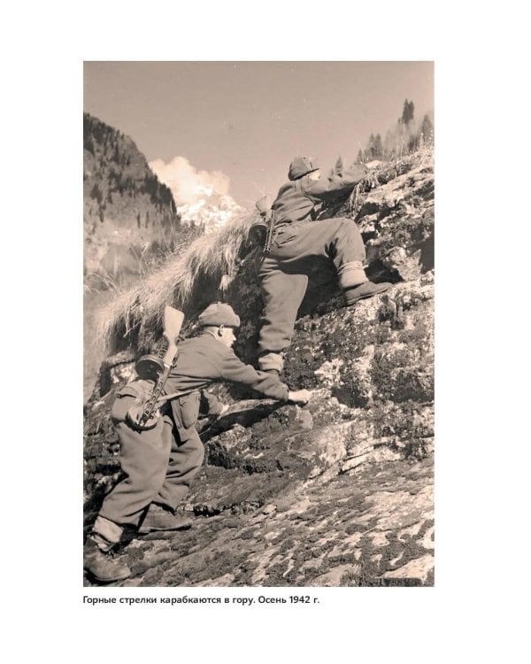 Битва за Кавказ. От Ростова до Новороссийска