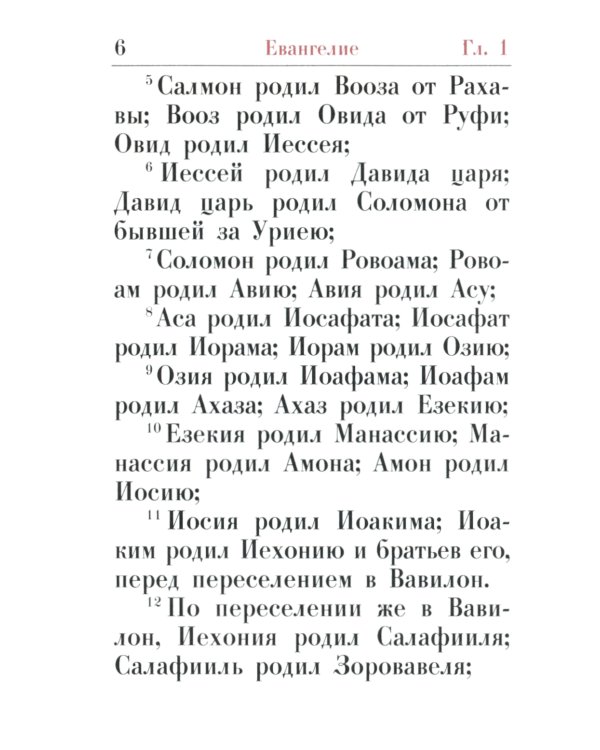 Святое Евангелие: (карманный формат)