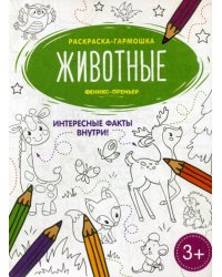 Животные: книжка-раскраска