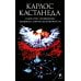 Сочинение в 6 т. Т. 5. Искусство сновидения. Активная сторона бесконечности Сочинение в 6 т. Т. 5. Искусство сновидения. Активная сторона бесконечности