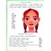 Люди: книга-тренажер по развитию речи и логики