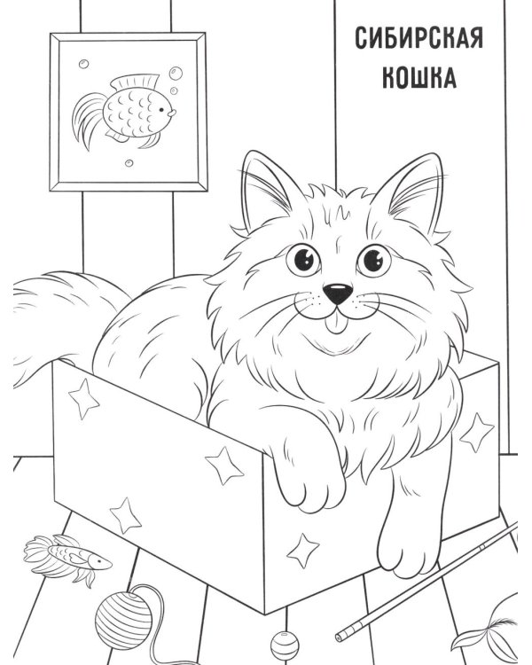 Котики: книжка-раскраска