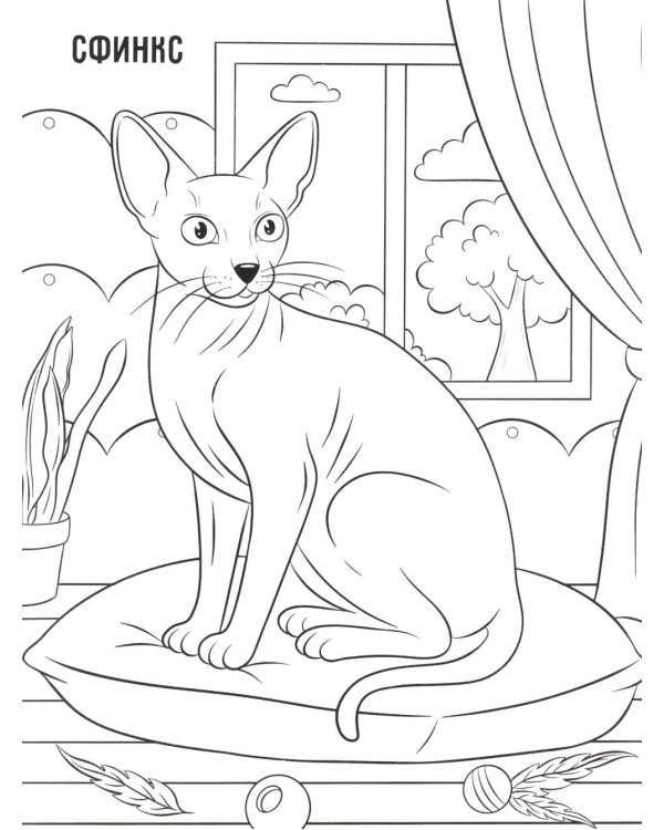 Котики: книжка-раскраска