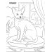 Котики: книжка-раскраска