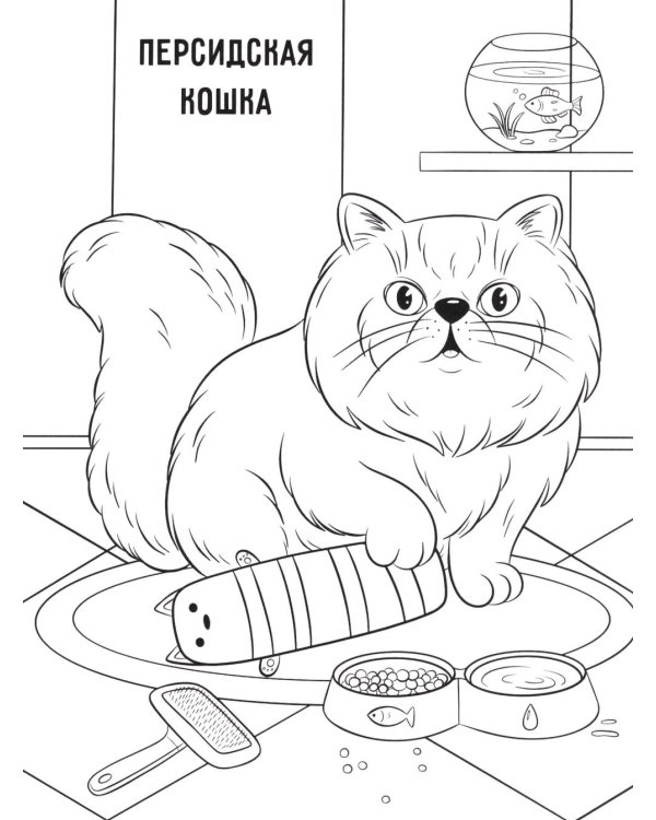 Котики: книжка-раскраска