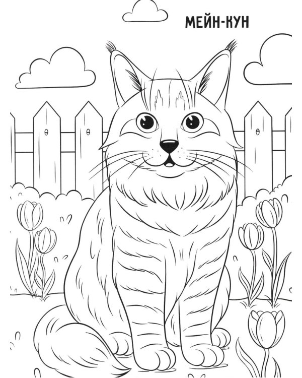 Котики: книжка-раскраска