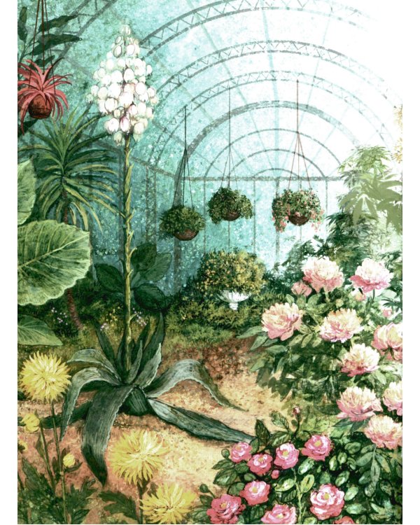 Ботанические сказки