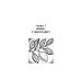 Лечебные свойства лимона от "А" до "Я" Лечебные свойства лимона от "А" до "Я"