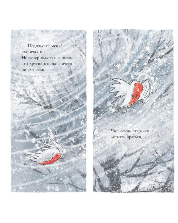 Дополнительное изображение книги «Сердце зимы»