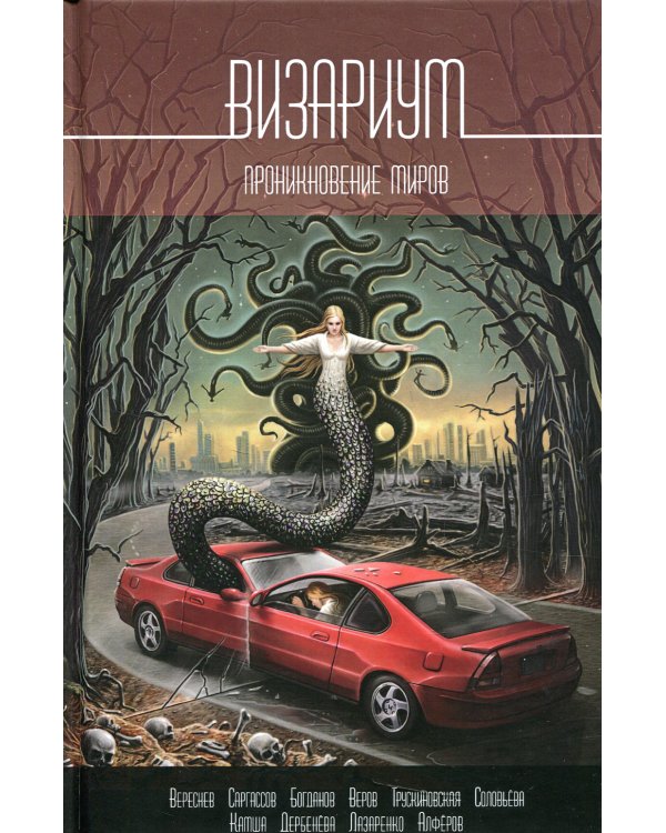 Визариум. Проникновение миров