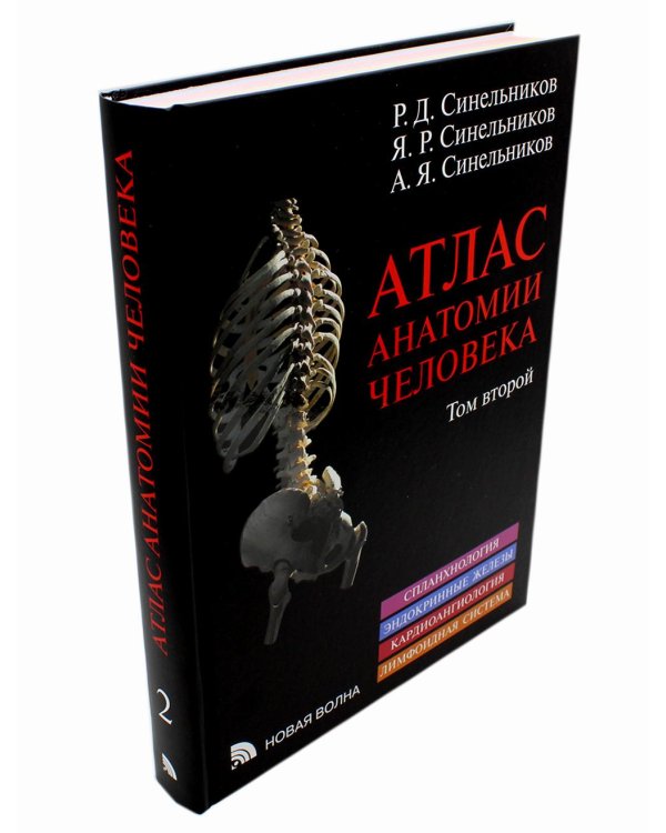 Атлас анатомии человека. В 3 т. Т. 2: Учебное пособие. 8-е изд., перераб