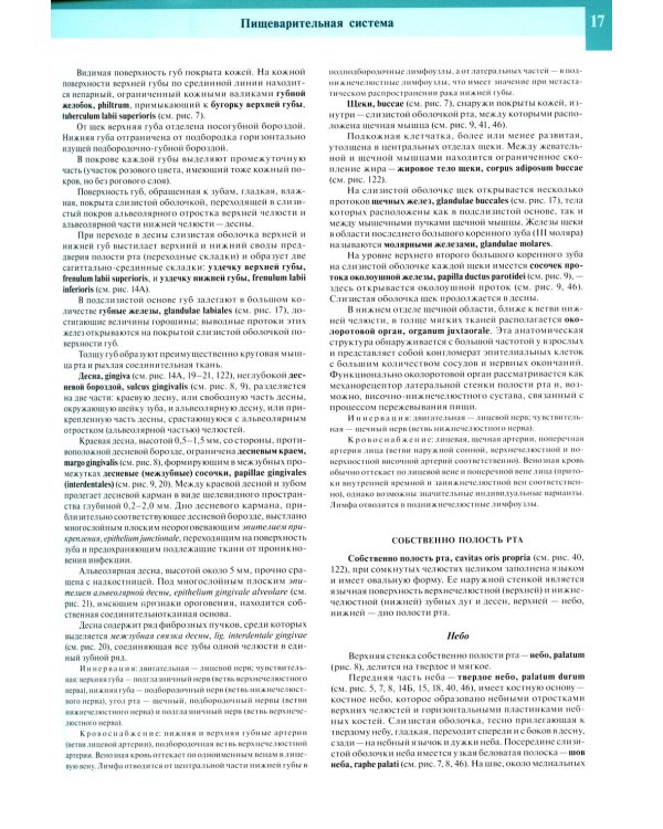 Атлас анатомии человека. В 3 т. Т. 2: Учебное пособие. 8-е изд., перераб