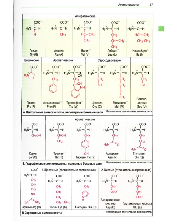 Наглядная генетика. 3-е изд