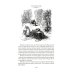 Дополнительное изображение книги «Плавучий остров. Робур-Завоеватель. Властелин мира: романы»