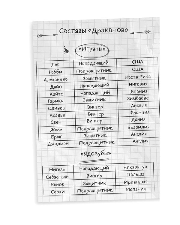 Дополнительное изображение книги «Академия Чемпионов. Путь к мечте»