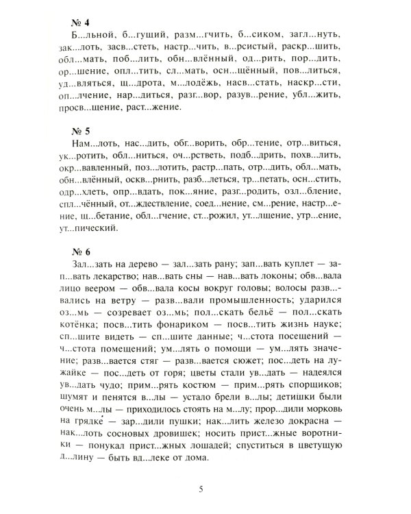 300 диктантов для поступающих в ВУЗы (обл.). 19-е изд