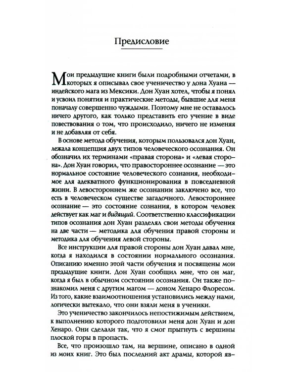 Огонь изнутри. Сила безмолвия. Книга 4