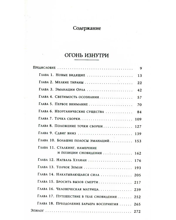Огонь изнутри. Сила безмолвия. Книга 4