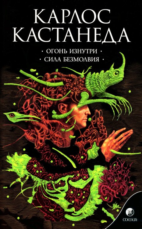 Огонь изнутри. Сила безмолвия. Книга 4 Огонь изнутри. Сила безмолвия. Книга 4