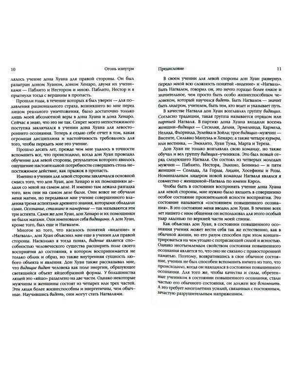 Огонь изнутри. Сила безмолвия. Книга 4