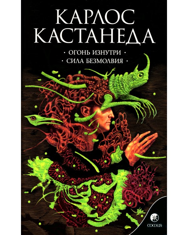 Огонь изнутри. Сила безмолвия. Книга 4