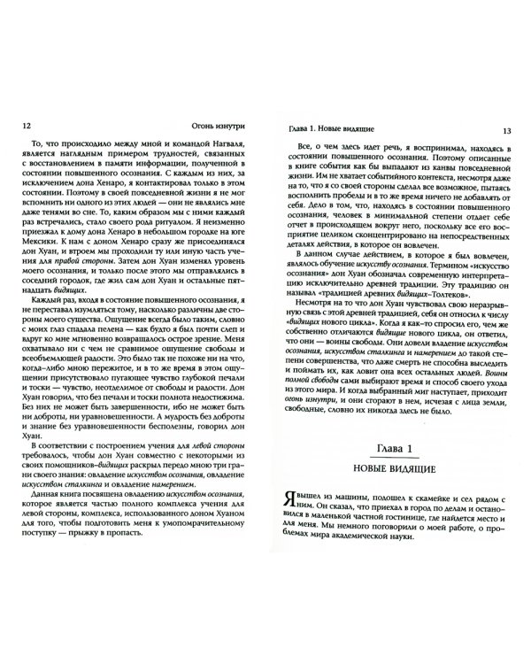 Огонь изнутри. Сила безмолвия. Книга 4