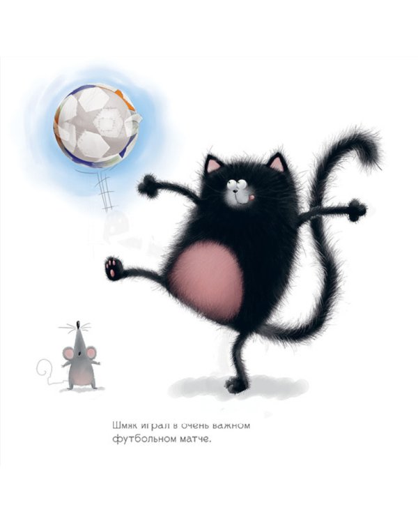 Шмяк и летние каникулы: книжка с наклейками